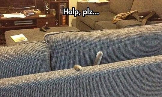 2018 year in review ask for help