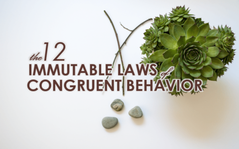 Increase Your Cash Flow By Learning The 12 Immutable Laws Of Congruent Behavior