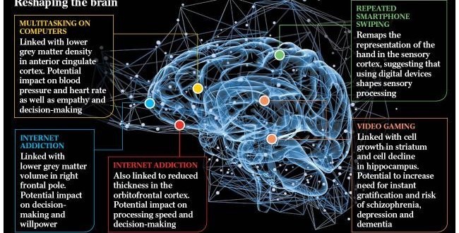 phone and social media use affects the brain