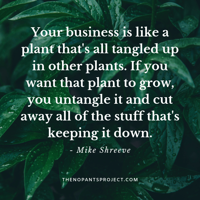 your business is like a plant Mike Shreeve The No Pants Project